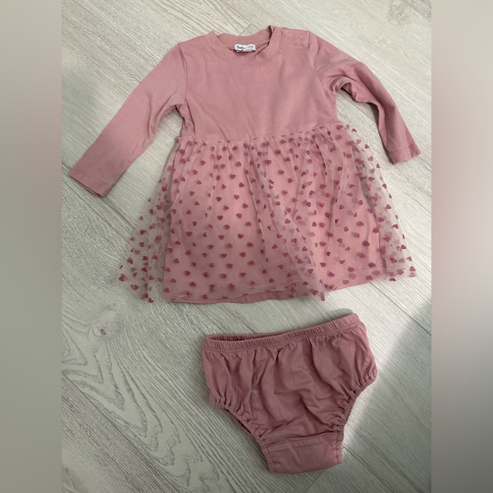 Splendid Pink Long Sleeve Tulle Heart Dress with Bloomer